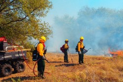The Nature Conservancy team shares feedback on test burn